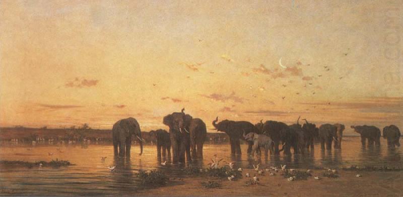 Elephants at Sunset, Charles Tournemine